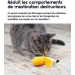 Petstages Jouet pour chat Dental Banana herbe à chat hygiène dentaire à mâcher