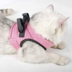 Bireegoo 1 ensemble de vestes pour chat avec corde de traction harnais et laisse collier à libération rapide gilet de sécurité pour chaton et chats rose taille S