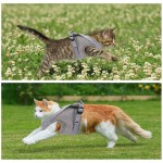 EKKONG Harnais pour chat harnais et laisse pour chat harnais réglable collier avec bande réfléchissante pour chat chaton et chien