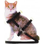 Harnais en nylon réglable pour chats avec laisse et collier