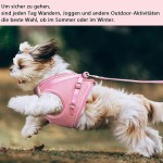 Harnais pour chat Petit chien Confortable à porter Avec laisse réglable Convient pour chatons et chiots Réfléchissant rose