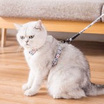 TEBX Harnais pour chat avec laisse et collier Sangle de marche douce et confortable Harnais pour chien S bleu foncé
