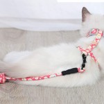 TEBX Harnais pour chat avec laisse et collier Sangle de marche douce et confortable Harnais pour chien S bleu foncé